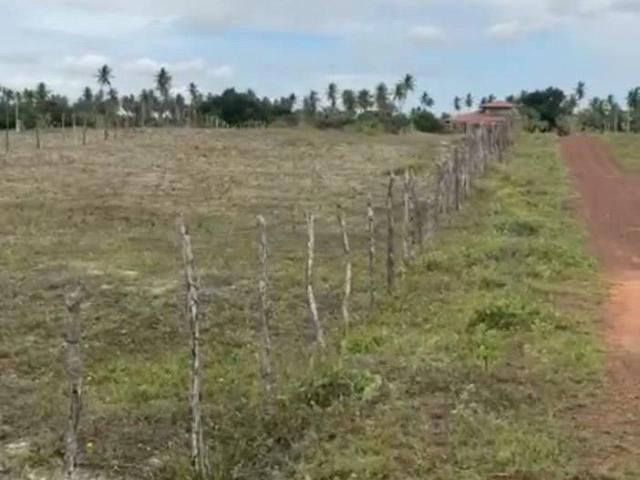 Terreno venda em São Miguel do Gostoso
