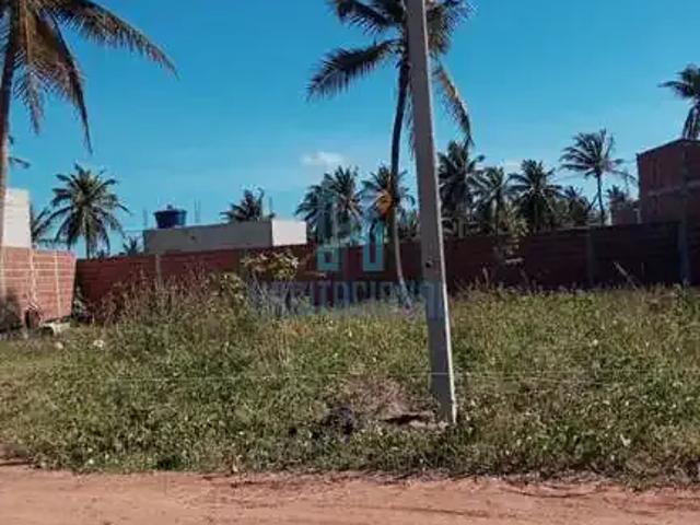 Terreno venda em São Miguel do Gostoso