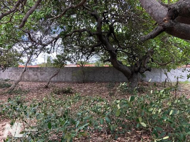 Terreno venda em São Miguel do Gostoso
