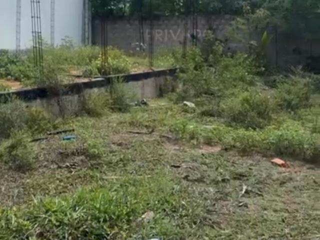 Terreno venda em São Miguel dos Milagres