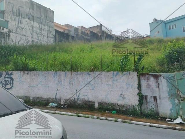 Terreno venda em Engenheiro Goulart, São Paulo