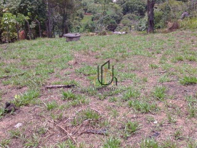 Terreno venda em Vila Autódromo, São Paulo