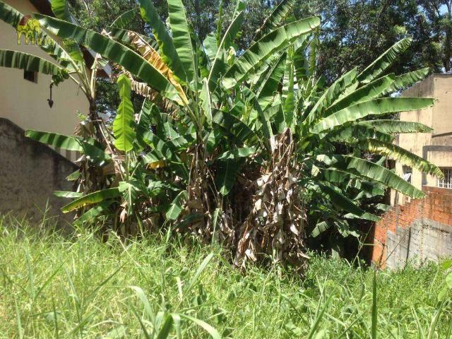 Terreno venda em City América, São Paulo