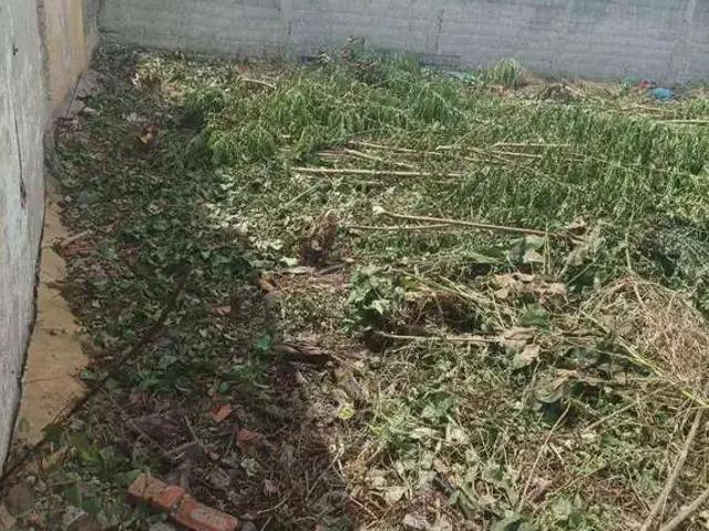 Terreno venda em Jardim Camargo Novo, São Paulo