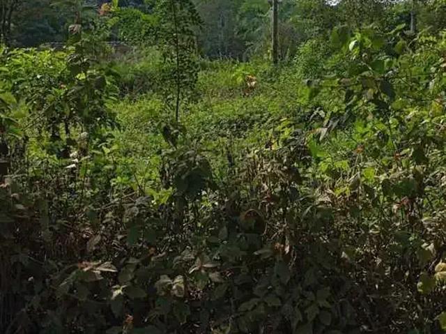 Terreno venda em Região Imediata de São Paulo, Região Metropolitana de São Paulo