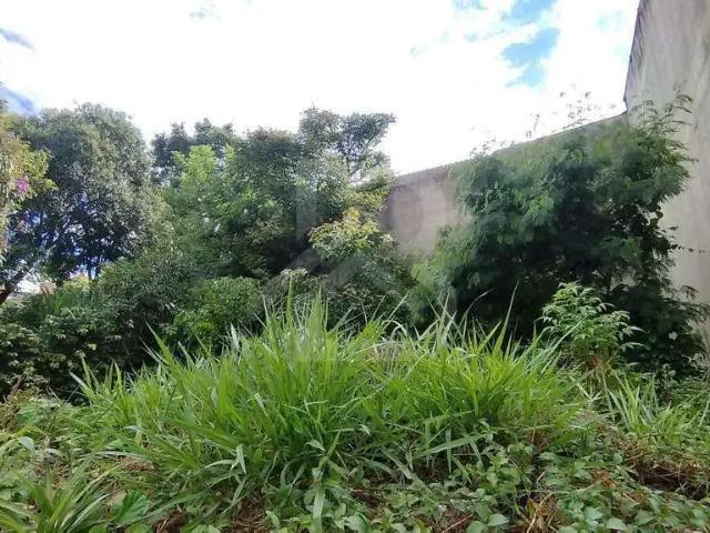 Terreno venda em São Mateus, São Paulo