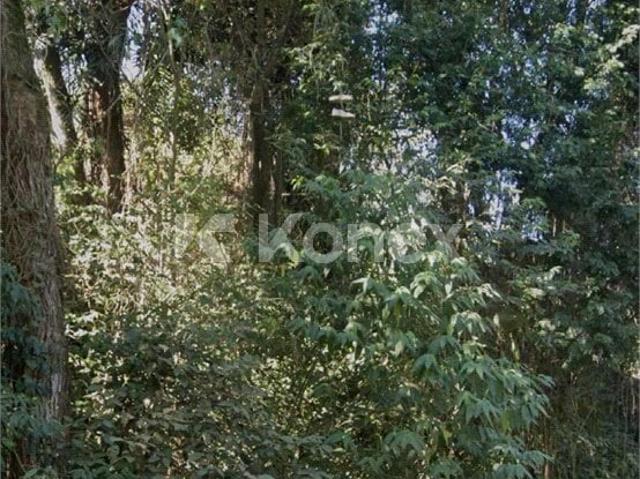 Terreno venda em Vila Albertina, São Paulo
