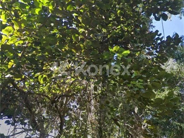Terreno venda em Vila Albertina, São Paulo