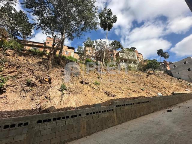Terreno venda em Jardim Modelo, São Paulo