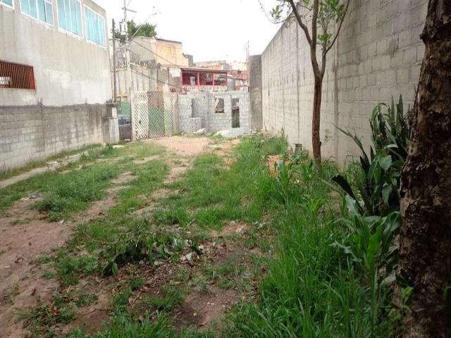 Terreno venda em Vila Amélia - Vila Capela do Socorro, São Paulo