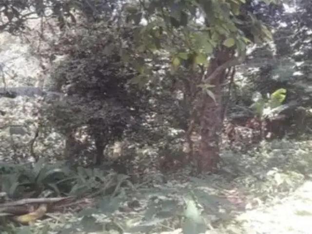 Terreno venda em São Mateus, São Paulo