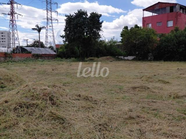 Terreno venda em Vila Azevedo, São Paulo