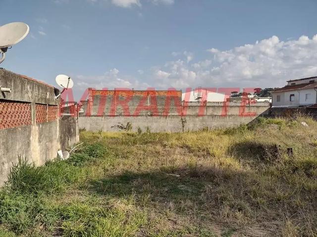 Terreno venda em Vila Albertina, São Paulo