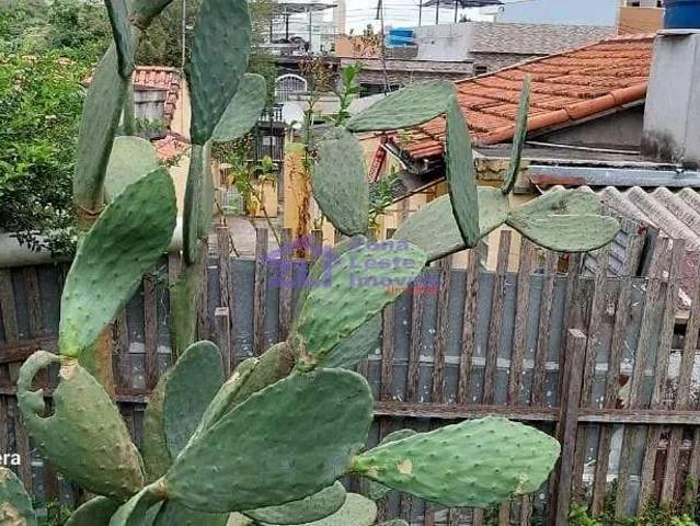 Terreno venda em Vila Granada, São Paulo