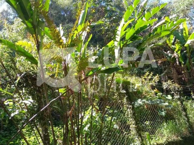 Terreno venda em Horto Florestal, São Paulo