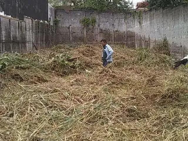 Terreno venda em Região Imediata de São José do Rio Preto, Região Metropolitana de São José do Rio Preto
