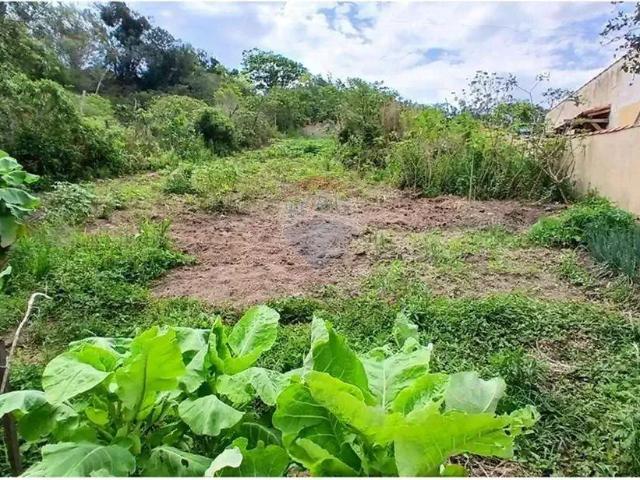 Terreno venda em Região Geográfica Imediata de Cabo Frio, São Pedro da Aldeia