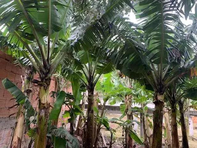 Terreno venda em Região Geográfica Imediata de Cabo Frio, São Pedro da Aldeia