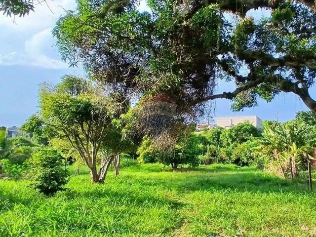 Terreno venda em Região Geográfica Imediata de Cabo Frio, São Pedro da Aldeia