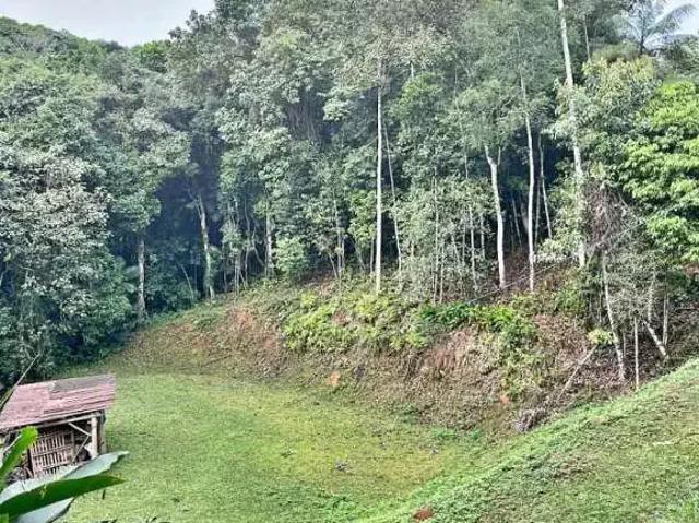 Terreno venda em Região Geográfica Imediata de Florianópolis, São Pedro de Alcântara