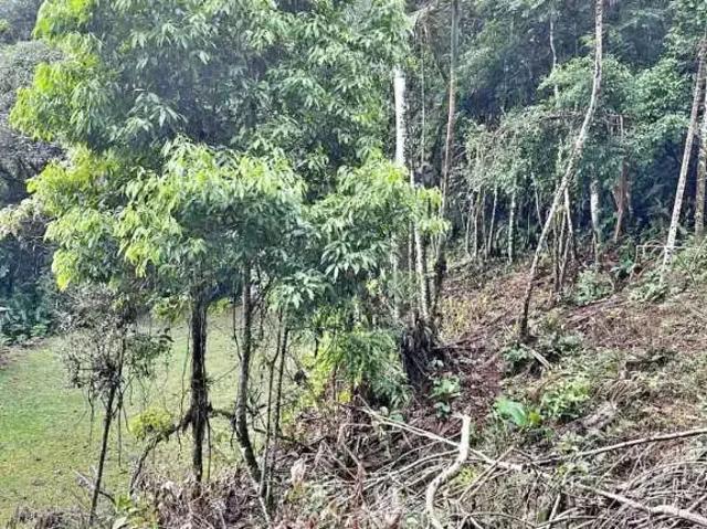 Terreno venda em Região Geográfica Imediata de Florianópolis, São Pedro de Alcântara