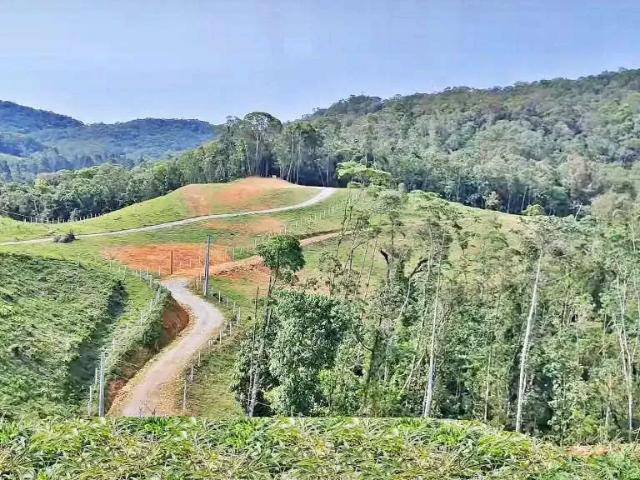 Terreno venda em Região Geográfica Imediata de Florianópolis, São Pedro de Alcântara