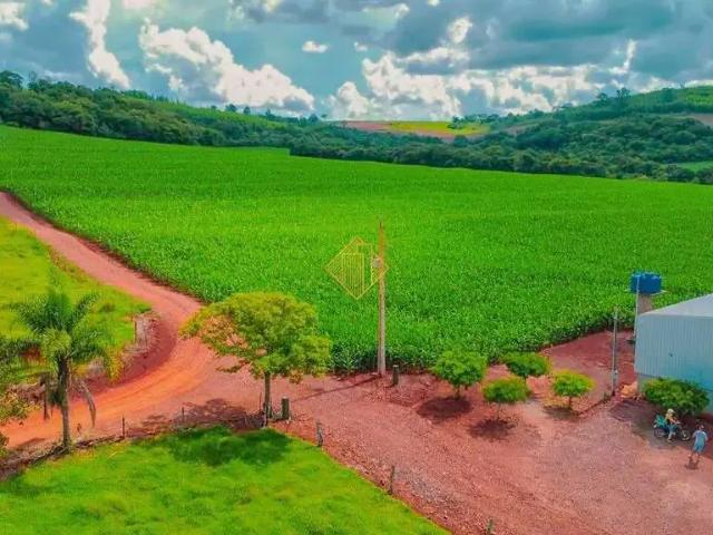 Terreno venda em São Pedro do Iguaçu, Região Geográfica Intermediária de Cascavel