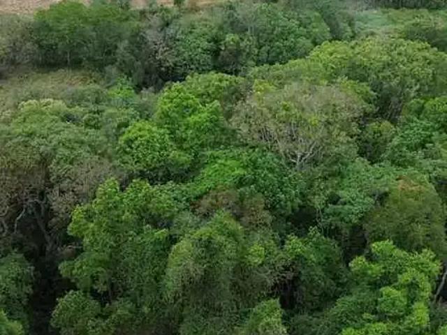 Terreno venda em Jardim Renê, São Roque