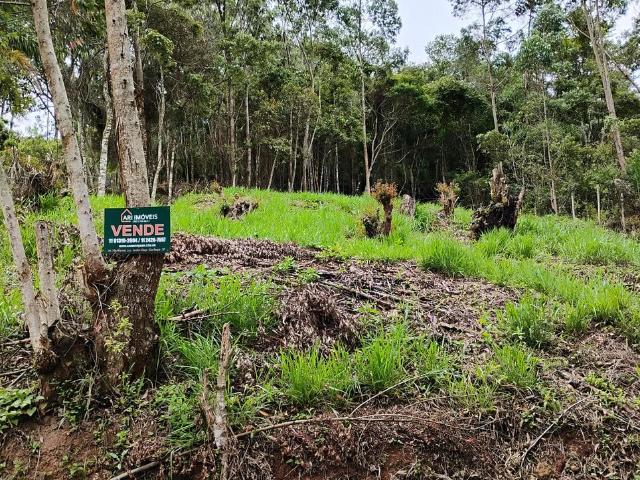 Terreno venda em Jardim Renê, São Roque