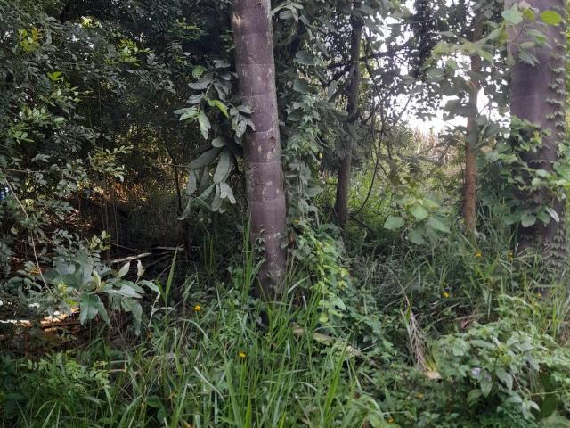 Terreno venda em Jardim Renê, São Roque