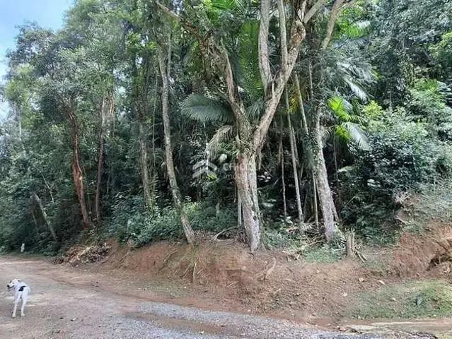 Terreno venda em Região Imediata de Sorocaba, Região Metropolitana de Sorocaba