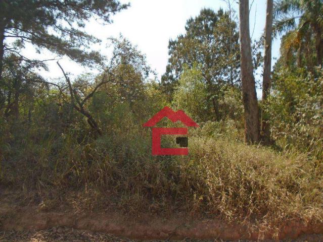 Terreno venda em Vila Santa Maria, São Roque