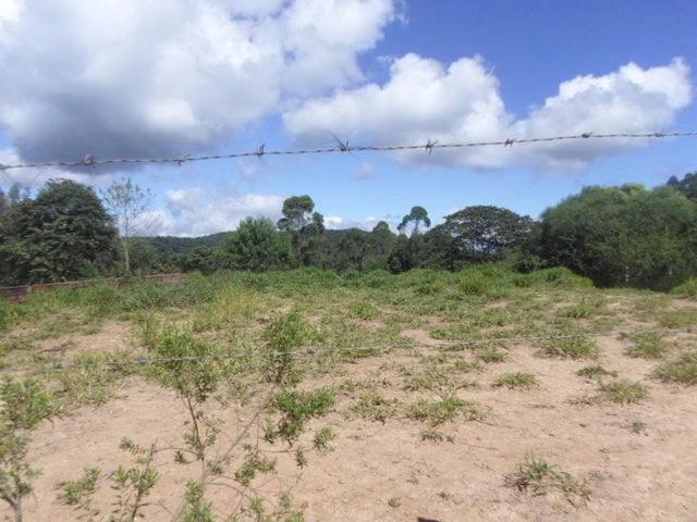 Terreno venda em Vila Santa Maria, São Roque