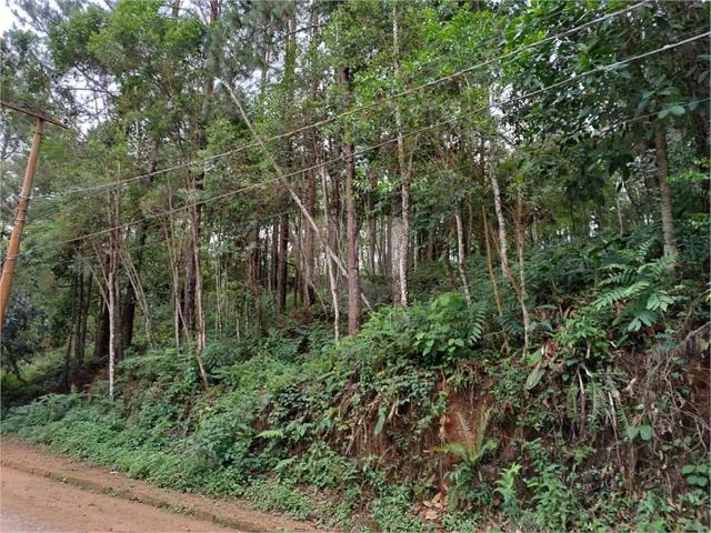 Terreno venda em Vila Bello, São Roque