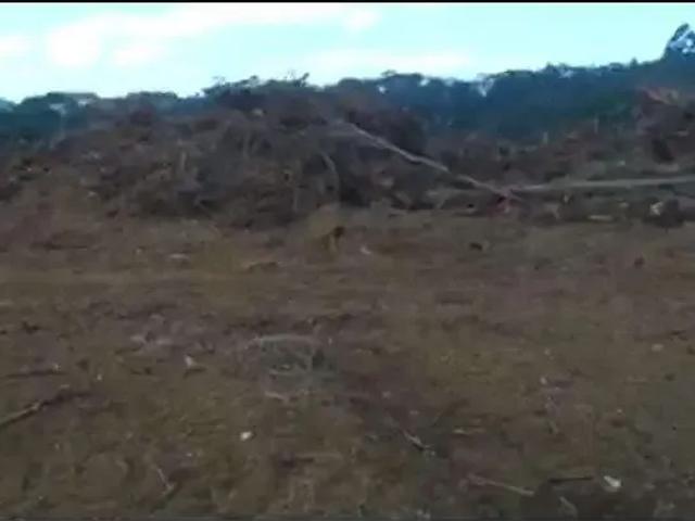 Terreno venda em Goianã, São Roque