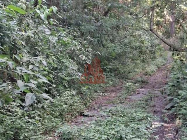 Terreno venda em Vila Santa Maria, São Roque