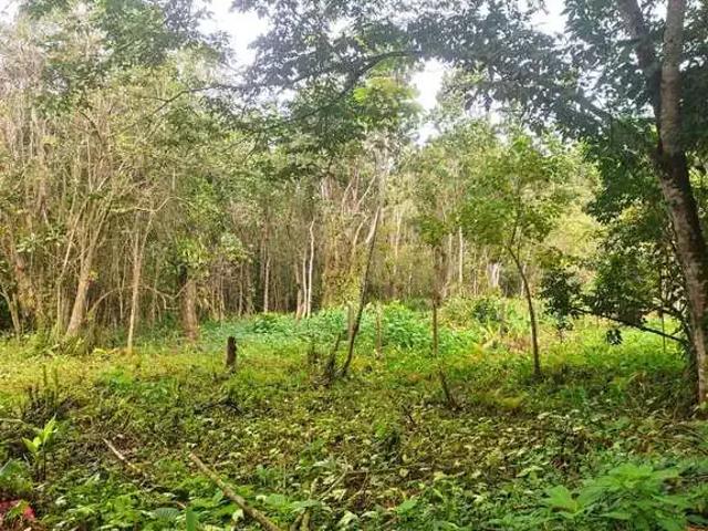 Terreno venda em Região Imediata de Caraguatatuba-Ubatuba-São Sebastião, Região Metropolitana do Vale do Paraíba e Litoral Norte