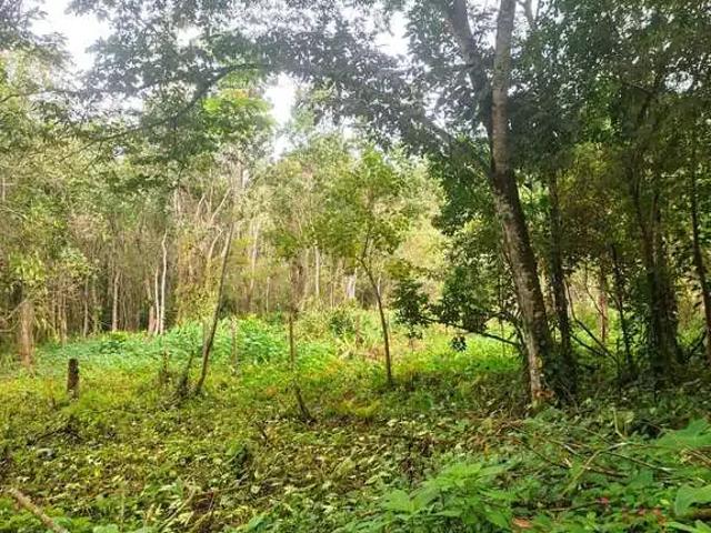 Terreno venda em Região Imediata de Caraguatatuba-Ubatuba-São Sebastião, Região Metropolitana do Vale do Paraíba e Litoral Norte