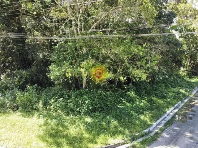 Terreno venda em Região Imediata de Caraguatatuba-Ubatuba-São Sebastião, Região Metropolitana do Vale do Paraíba e Litoral Norte