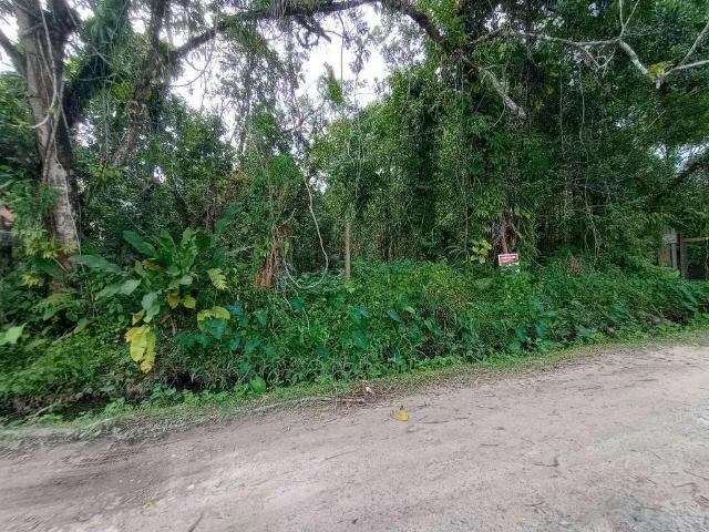 Terreno venda em Região Imediata de Caraguatatuba-Ubatuba-São Sebastião, Região Metropolitana do Vale do Paraíba e Litoral Norte