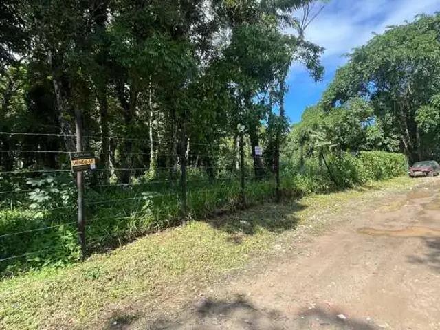 Terreno venda em Região Imediata de Caraguatatuba-Ubatuba-São Sebastião, Região Metropolitana do Vale do Paraíba e Litoral Norte