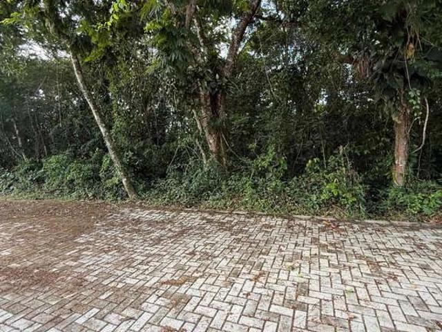 Terreno venda em São Sebastião, Região Geográfica Intermediária de São José dos Campos