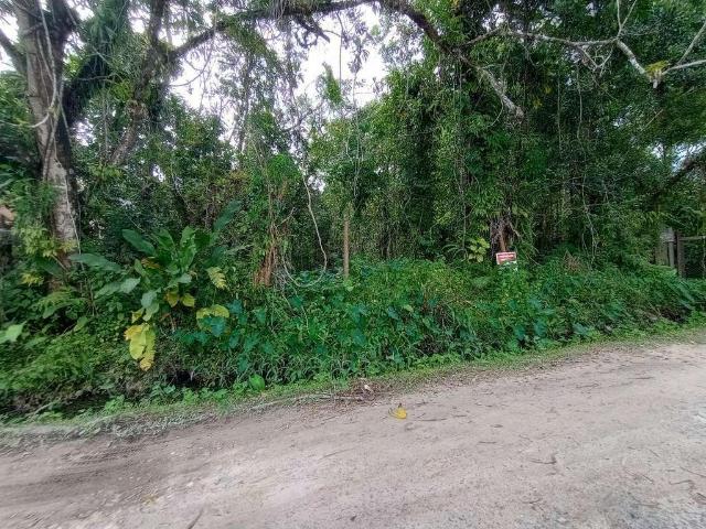 Terreno venda em Região Imediata de Caraguatatuba-Ubatuba-São Sebastião, Região Metropolitana do Vale do Paraíba e Litoral Norte