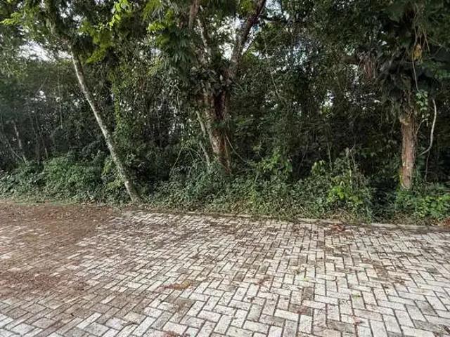 Terreno venda em Região Imediata de Caraguatatuba-Ubatuba-São Sebastião, Região Metropolitana do Vale do Paraíba e Litoral Norte