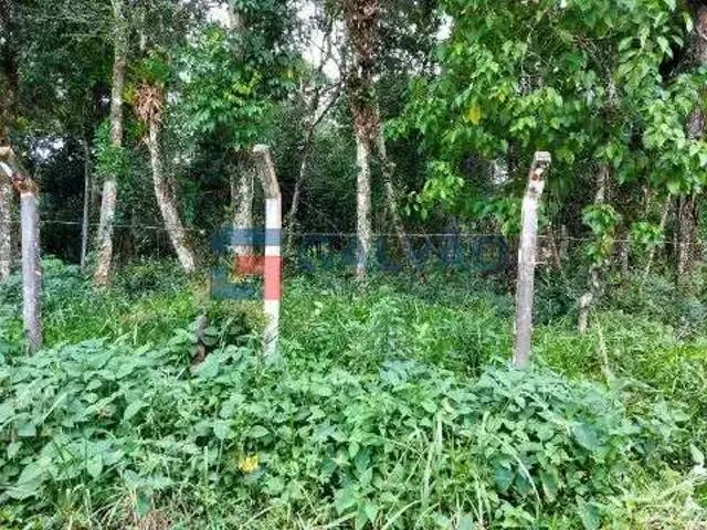 Terreno venda em Região Imediata de Caraguatatuba-Ubatuba-São Sebastião, Região Metropolitana do Vale do Paraíba e Litoral Norte