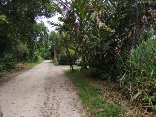 Terreno venda em Região Imediata de Caraguatatuba-Ubatuba-São Sebastião, Região Metropolitana do Vale do Paraíba e Litoral Norte