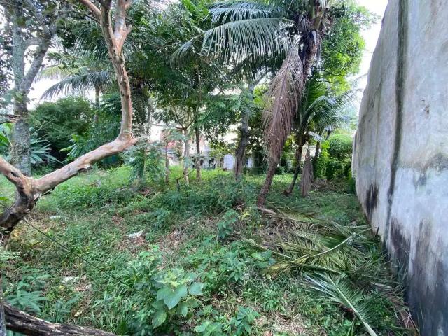 Terreno venda em Região Imediata de Caraguatatuba-Ubatuba-São Sebastião, Região Metropolitana do Vale do Paraíba e Litoral Norte