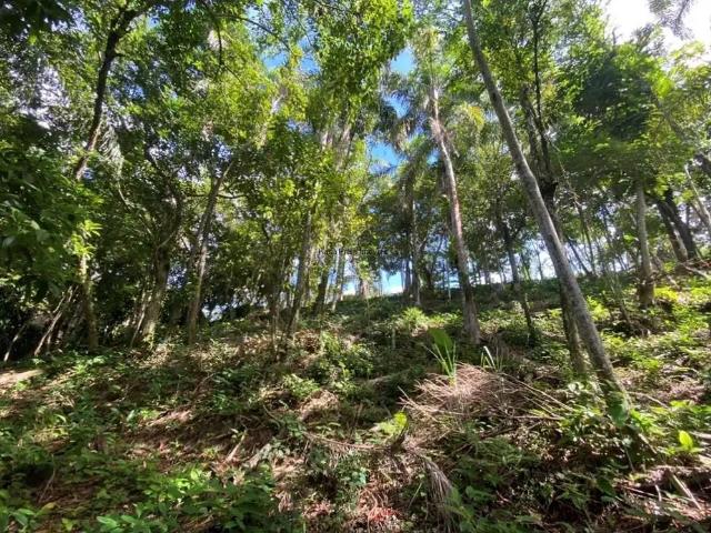 Terreno venda em Região Imediata de Caraguatatuba-Ubatuba-São Sebastião, Região Metropolitana do Vale do Paraíba e Litoral Norte