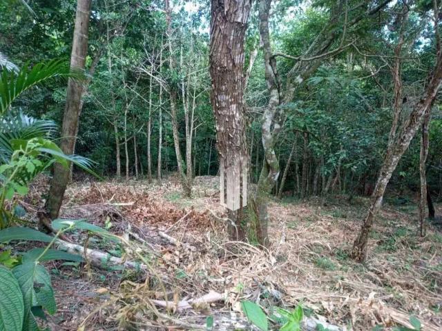 Terreno venda em Região Imediata de Caraguatatuba-Ubatuba-São Sebastião, Região Metropolitana do Vale do Paraíba e Litoral Norte