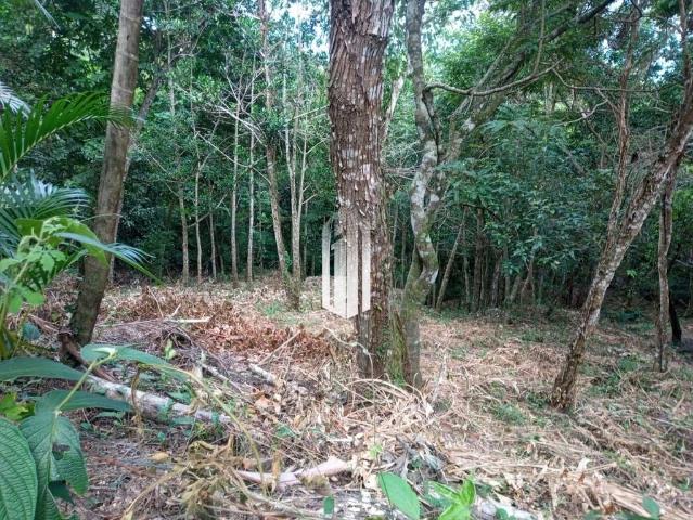 Terreno venda em São Sebastião, Região Geográfica Intermediária de São José dos Campos